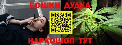индика Нарткала