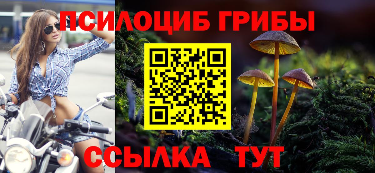 Галлюциногенные грибы ЛСД Владикавказ
